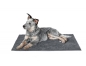 Preview: Hundedecke, Schmutzabweisende Hundedecke , Hundeplatz , 80 x 60 cm , Hundematte